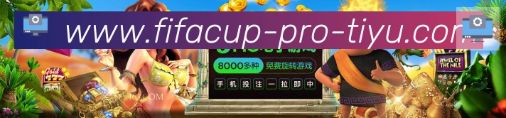 2026世界杯体育官方网站平台生态图